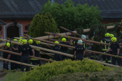 2024-04-MAIBAUMAUFSTELLEN