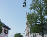 IMG_5598-2