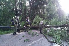 Einsatz Sturmschaden Juli 2012