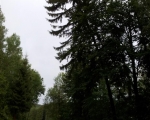 20120701_202830