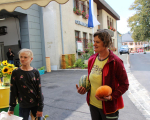 IMG_5350