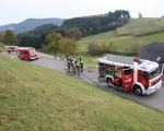 Herbst_bung_2010-42_