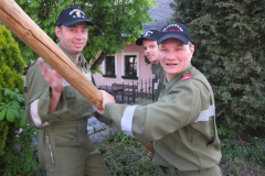 Maibaum aufstellen 2014