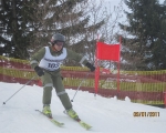 Schi_2011__15_