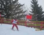 Schi_2011__1_