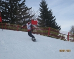 Schi_2011__23_