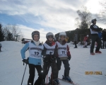 Schi_2011__2_