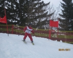 Schi_2011__35_
