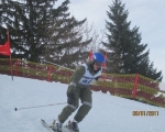 Schi_2011__41_