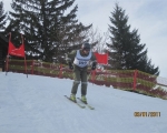 Schi_2011__47_