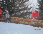 Schi_2011__65_