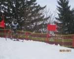 Schi_2011__8_