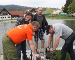 Teichreinigung 10