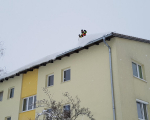 20190109_132138