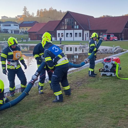 Leistungsabzeichen Branddienst Bronze