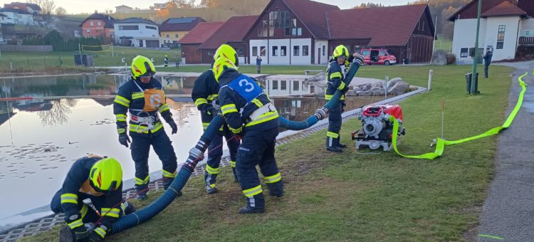 Leistungsabzeichen Branddienst Bronze