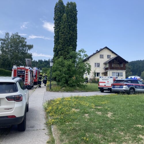 Personenrettung VU PKW – Hansberglandesstraße